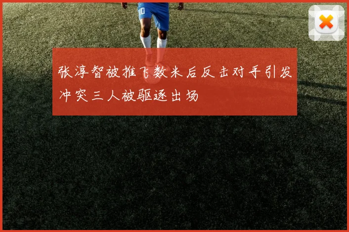 张淳智被推飞数米后反击对手引发冲突三人被驱逐出场