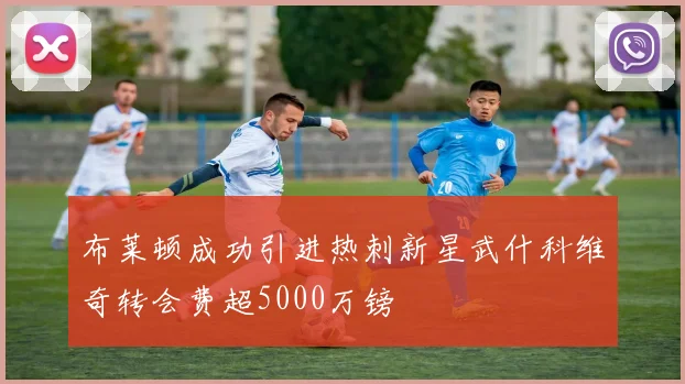 布莱顿成功引进热刺新星武什科维奇转会费超5000万镑